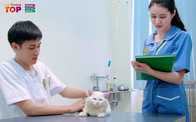 Benh-vien-thu-y-365-haiduongtoplist