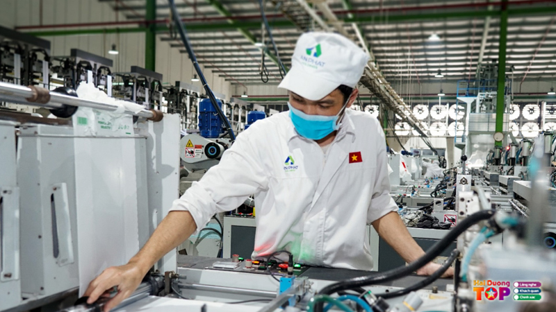 Cong-ty-co-phan-nhua-an-phat-xanh-3