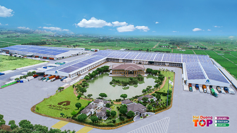 Cong-ty-co-phan-nhua-an-phat-xanh