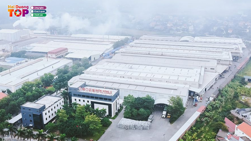 Cong-ty-tnhh-nhom-dong-a-hai-duong-1