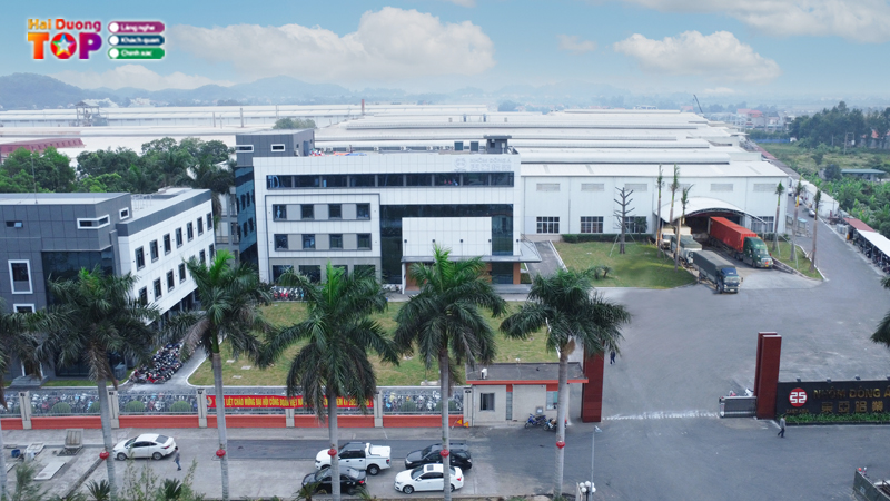 Cong-ty-tnhh-nhom-dong-a-hai-duong-3