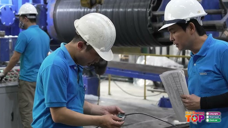 Cong-ty-tnhh-thep-daeho-viet-nam-4