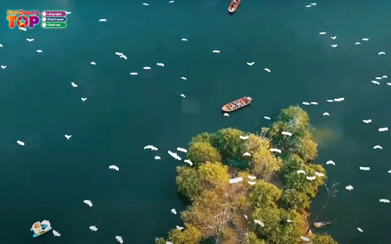 Hai-duong-co-bao-nhieu-thanh-pho-du-lich-co-gi-hap-dan-3