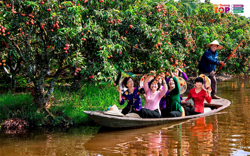 Kham-pha-net-dac-sac-ve-lich-su-van-hoa-lau-doi-tinh-hai-duong-2