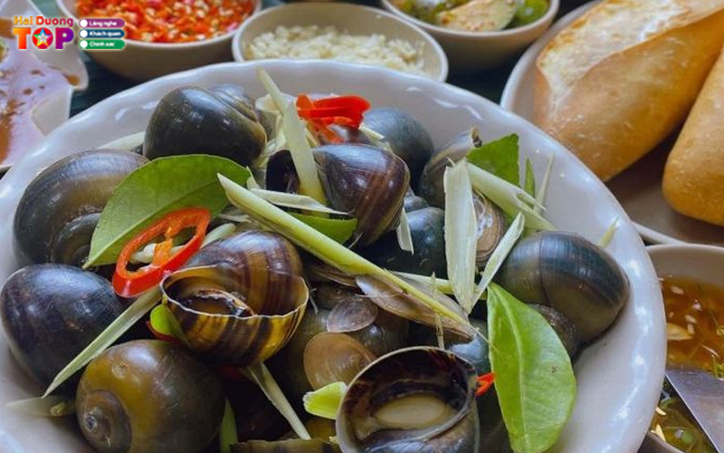 Oc-dong-san-haiduongtoplist