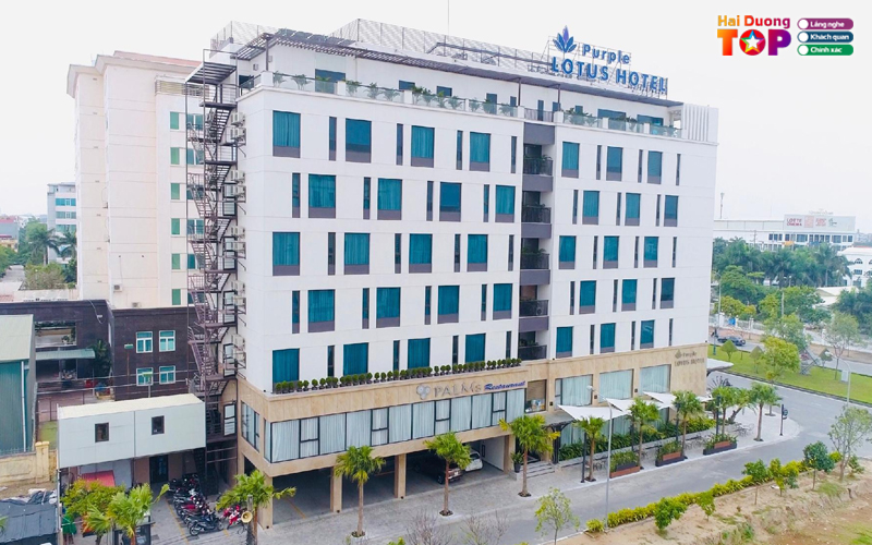 Purple-lotus-hotel-haiduongtoplist