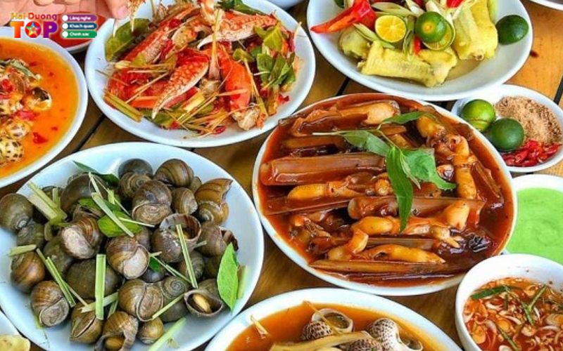 Van-oc-haiduongtoplist