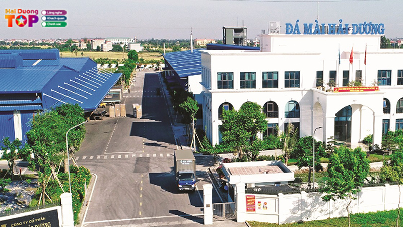 Cong-ty-co-phan-da-mai-hai-duong