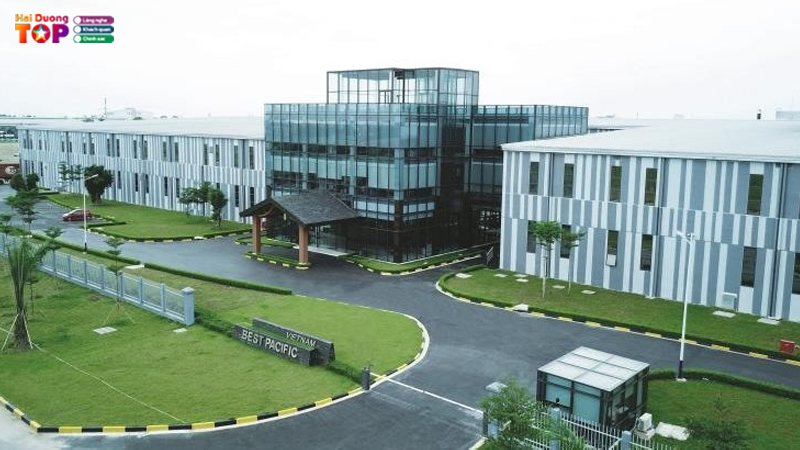 Cong-ty-tnhh-best-pacific-viet-nam-1