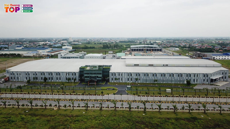 Cong-ty-tnhh-best-pacific-viet-nam-2