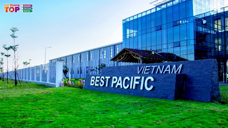 Cong-ty-tnhh-best-pacific-viet-nam