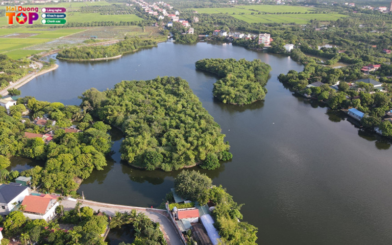 Dao-co-chi-lang-nam-haiduongtoplist