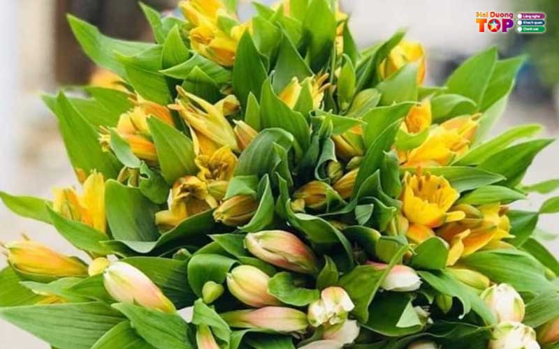 Hoa-tuoi-han-han-haiduongtoplist