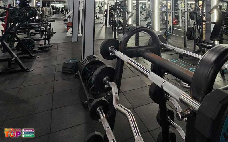 Whey-gym-haiduongtoplist