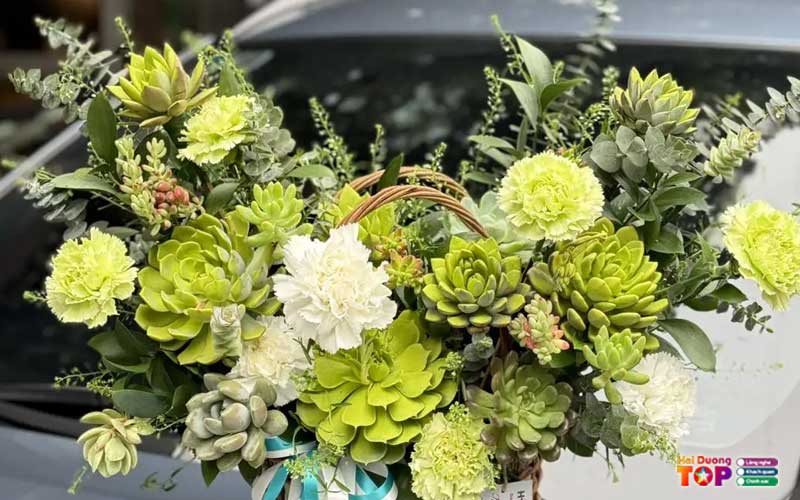 Hoa-tuoi-me-linh-haiduongtoplist