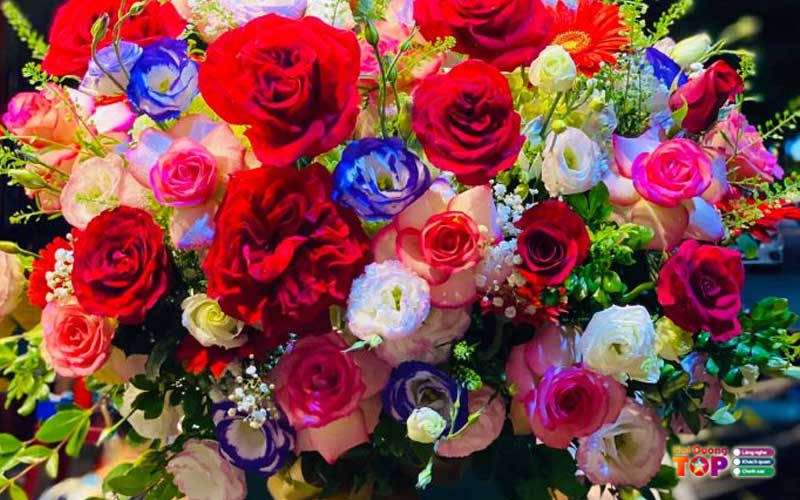 Lavender-flower-haiduongtoplist