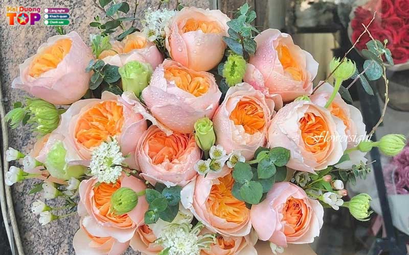 Peony-flower-shop-haiduongtoplist