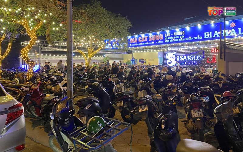 San-bia-cay-sung-haiduongtoplist