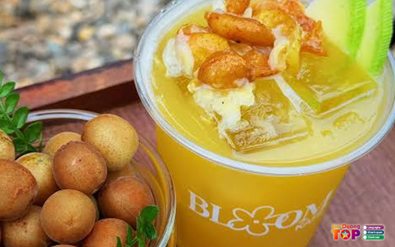 Bloom-kafe-haiduongtoplist