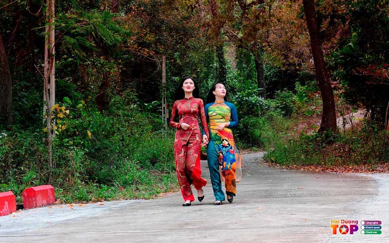 Rung-phong-la-do-tam-ban-haiduongtoplist